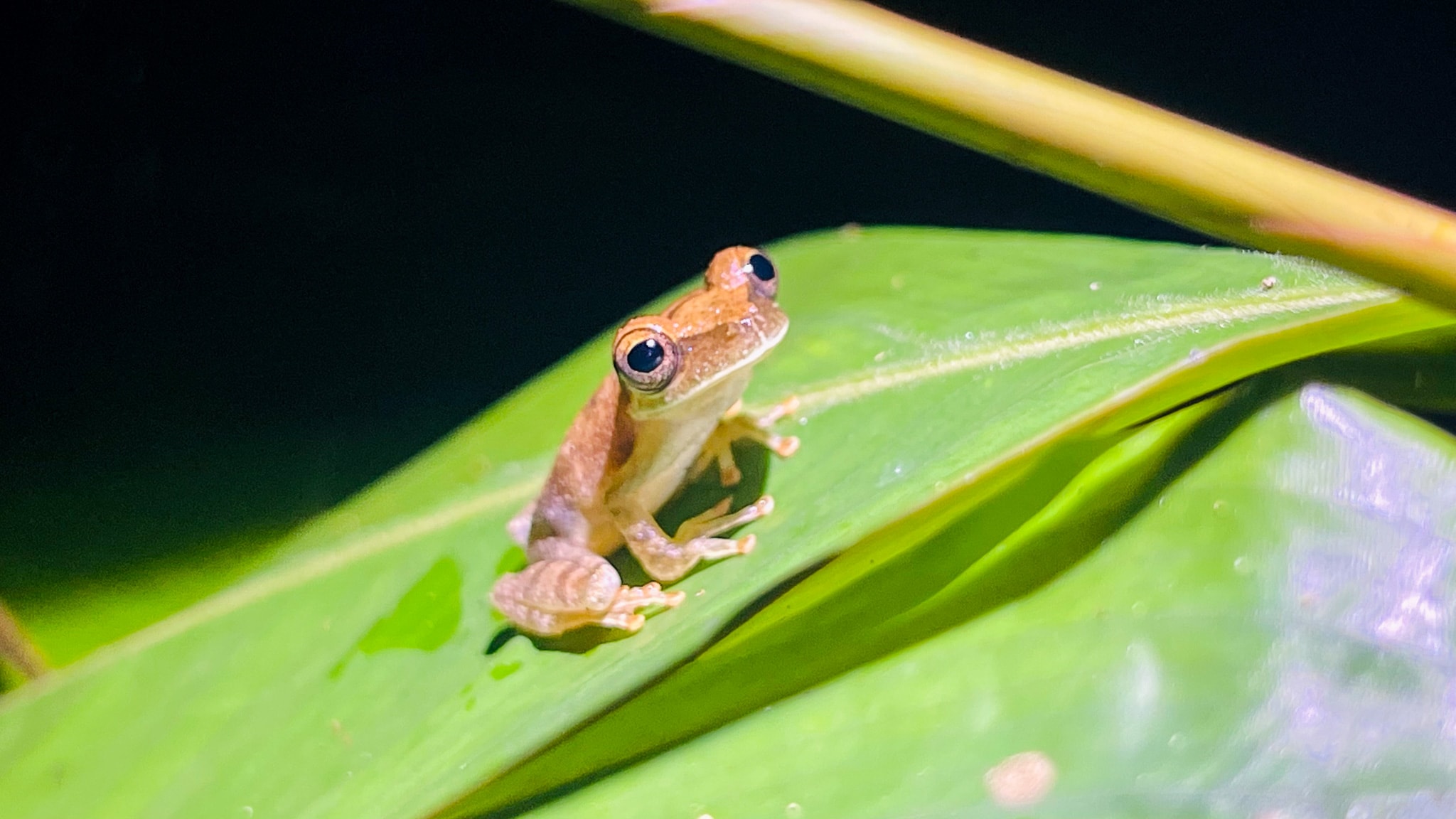 Ecoturismo en Ecuador