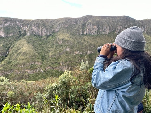 Colibrí en Ecuador — biodiversidad extraordinaria